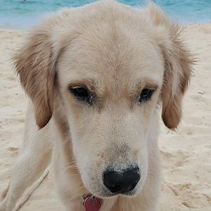 Meet your Posher, Maryann